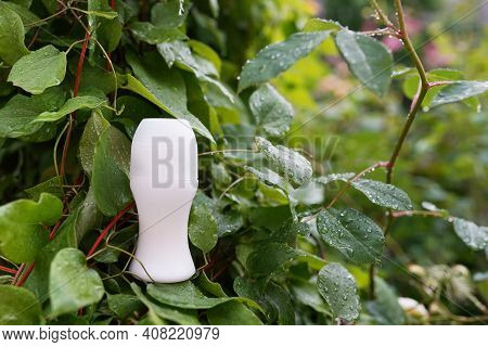 green leaves body care