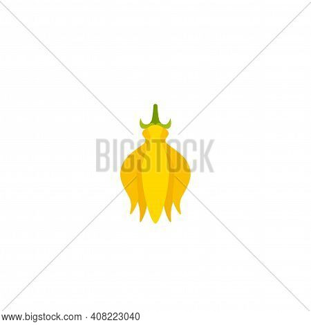 Yellow Ilang-ilang Flower. Medical, Cosmetic, Health Care Label. Eco, Floral, Natural, Organic Symbo
