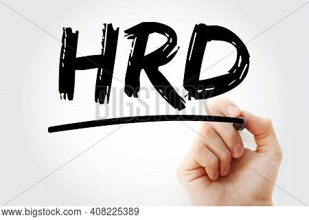 Hrd - Human Resource Development Acronym With Marker, Business Concept Background