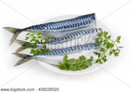 Several Pickled Mild Salted Atlantic Mackerel Without Heads And Twigs Of Fresh Greens On Dish On A W