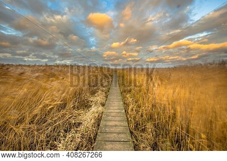Wooden Walkway Through Salt Tidal Marsh In Natura 2000 Area Dollard, Groningen Province, The Netherl