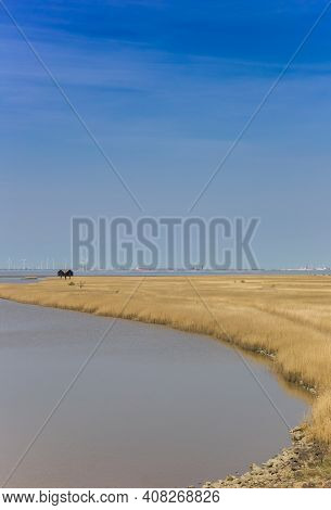 Bird Watching Hut At The Coast Of Groningen, Holland