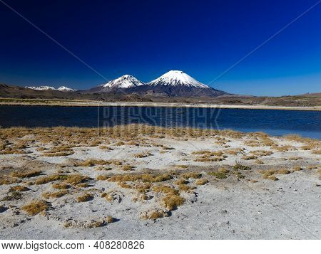 Parina Cota Vulcano Chile On The Border Of Bolivia
