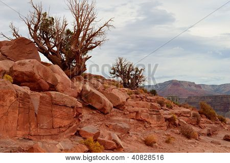 Bryce Canyon