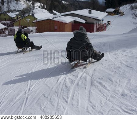 Tobogganing Or Sledging In Winter