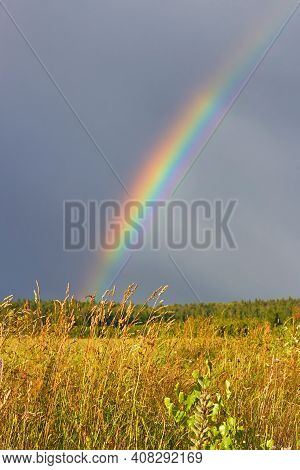Rainbow Over A Wheat Field. Flying Down The Field Of Ripe Crops After The Rain And A Colorful Rainbo