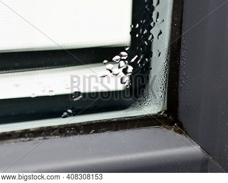 Closeup Of The Winter Condensation On The Inside Of A Window, Insulation Failure. A Window Glass Cov