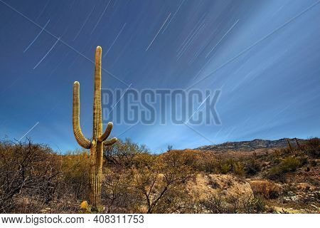 Star trails with cactus and desert landscape in Saguaro National Park