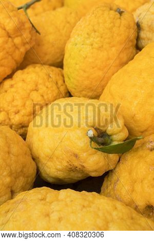Cedro citrons citrus fruits close-up at farmers market in Sicily, Italy