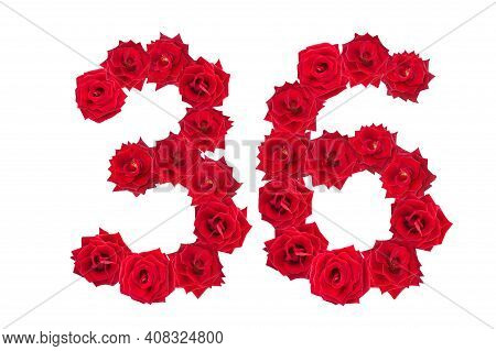 Numeral 36 Made Of Red Roses On A White Isolated Background. Red Roses. Element For Decoration. Thir