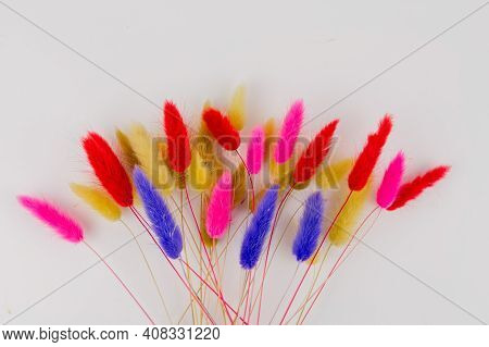 A Multicolored Dry Twigs Spikelet In A Bouquet On A White Background