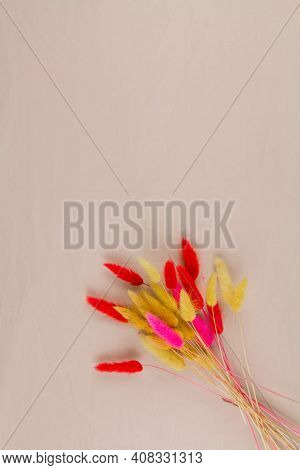 A Multicolored Dry Twigs Spikelet In A Bouquet On A White Background