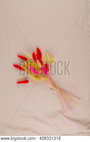 A Multicolored Dry Twigs Spikelet In A Bouquet On A White Background