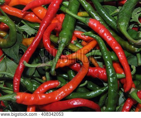 Spicy Chili. Astrakhan Pepper On A White Background. To Give Taste, Sharpness And Piquancy To The Pr