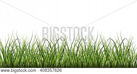 Watercolor Closeup Of Green Grass. Nature Background Vector. Graphic Design Element. Stock Image. Ep