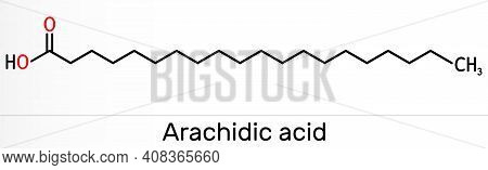 Arachidic Acid, Eicosanoic, Icosanoic Acid Molecule. It Is Saturated Long-chain Fatty Acid. Skeletal