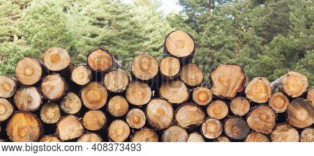 Logging, Deforestation Of The Planet. Stacked Logs. Background Of Stacked Pieces. Pino De Valsain In
