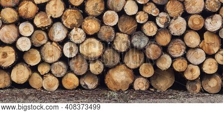 Logging, Deforestation Of The Planet. Stacked Logs. Background Of Stacked Pieces. Pino De Valsain In