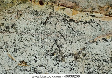 Ancient Stone Engraving In Phu Pha Yon, Sakon Nakhon, Thailand