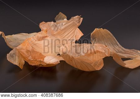 Brown Pieces Of Onionskin Isolated On Black.