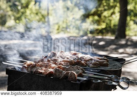 Grilled Kebab Cooking On Metal Skewer. Roasted Meat Cooked At Barbecue. Bbq Fresh Beef Meat Chop Sli