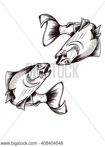 Fishing. Hand Drawn Vector Fish. Sketch Fish.