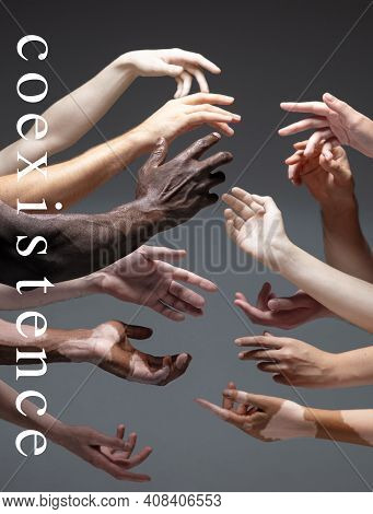 Art, Lettering. African And Caucasian Hands Gesturing On Gray Studio Background. Tolerance And Equal