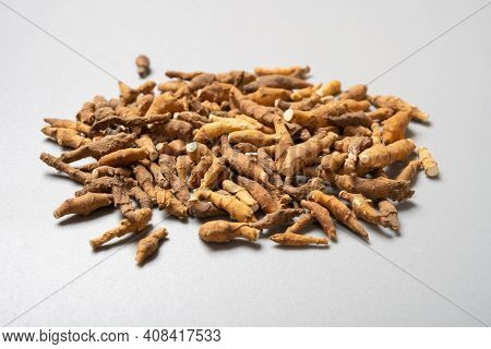 Side View Herb Jiujiechanɡpu Or Irkutsk Anemone Rhizome Or Rhizome Of Irkutsk Anemone