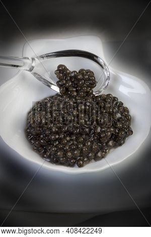 Caviar, Sturgeon's Eggs Caviar, Sturgeon's Eggs Caviar, Sturgeon's Eggs