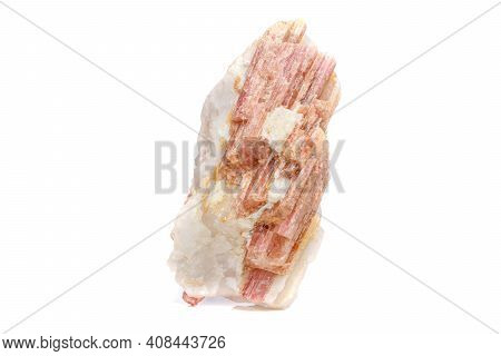 Macro Mineral Stone Tourmaline In The Breed A White Background