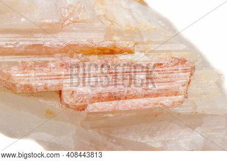 Macro Mineral Stone Tourmaline In The Breed A White Background