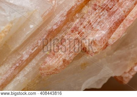 Macro Mineral Stone Tourmaline In The Breed A White Background