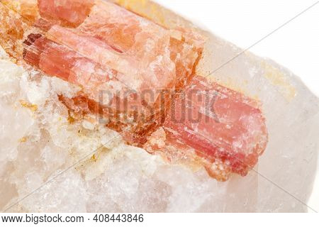 Macro Mineral Stone Tourmaline In The Breed A White Background