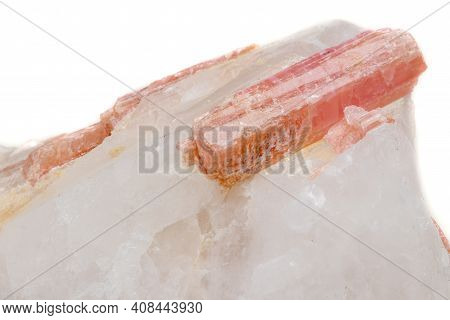 Macro Mineral Stone Tourmaline In The Breed A White Background