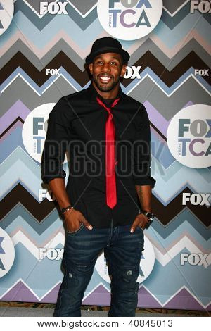 PASADENA, CA - JAN-8: Stephen Boxx, beachtet aka zucken der FOX TV 2013 TCA Winter Presserundgang am Lan