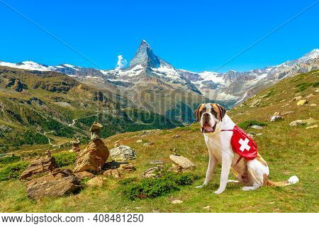 St. Bernard Rescue Dog Standing In Zermatt, Canton Of Valais, Switzerland, With Mount Matterhorn Or 
