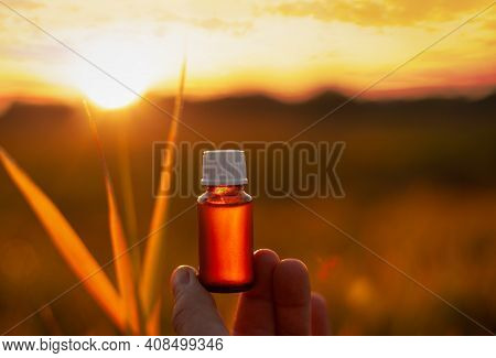 A Bottle With A Natural Extract - Space For Text. Sunsest