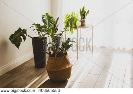 Houseplant In Pots As A Part Of Scandinavian Design