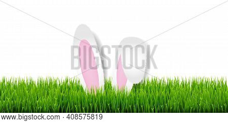 Easter Card With Easter Grass And Bunny Ears With Gradient Mesh, Vector Illustration