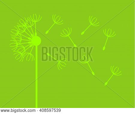 Dandelion With Flying Fluffs Silhouette. Vector Isolated.