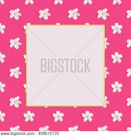 A Pattern Of White Flowers Of An Apple Tree On A Bright Pink And Light Background. Copspace. View Fr