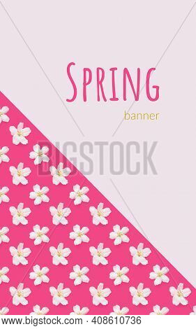 A Pattern Of White Flowers Of An Apple Tree On A Bright Pink Background. Copspace. View From Above. 