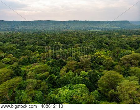 Primal Virgin Forest Of Manyara National Park Concervation Area In East Africa, Tanzania. Aerial Sho