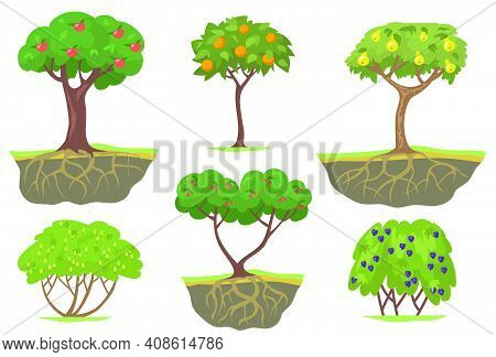 Green Fruit Trees And Berry Bushes Flat Set For Web Design. Cartoon Ripe Apples, Oranges, Peaches An