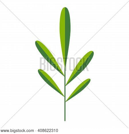 Simple Minimalistic Bright Green Branch With Leaves. Flower Collection Of Colorful Plants For Season