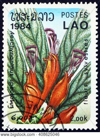 Laos - Circa 1984: A Stamp Printed In Laos Shows Basket Plant, Aeschynanthus Speciosus, Flowering Pl