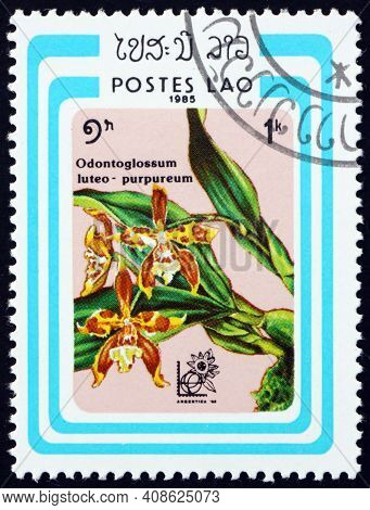 Laos - Circa 1985: A Stamp Printed In Laos Shows Odontoglossum Luteopurpureum, Is A Species Of Orchi