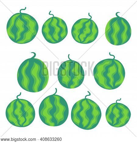 Whole Watermelons Cartoon Set Stock Vector Illustration. Striped Hand Drawn Ripe Watermelon Fruits I