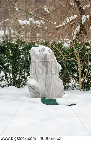 Plants And Trees In A Park Or Garden Covered By The Snow And Blanket, Swath Of Burlap, Frost Protect