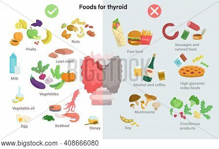 A Set Of Useful And Harmful Products For The Thyroid Gland. Thyroid Gland On The Larynx And Trachea 